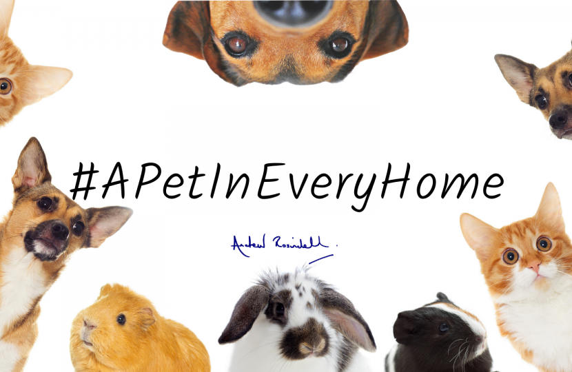 A Pet In Every Home