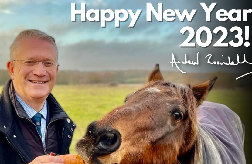 Pictured: Andrew Rosindell M.P. Graphic for New Year's Day