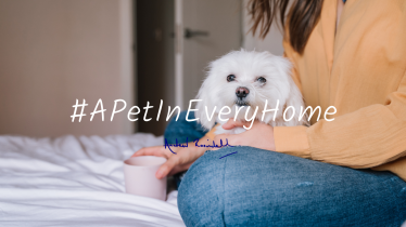 A Pet In Every Home 1