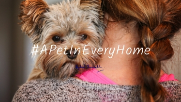 A Pet in Every Home